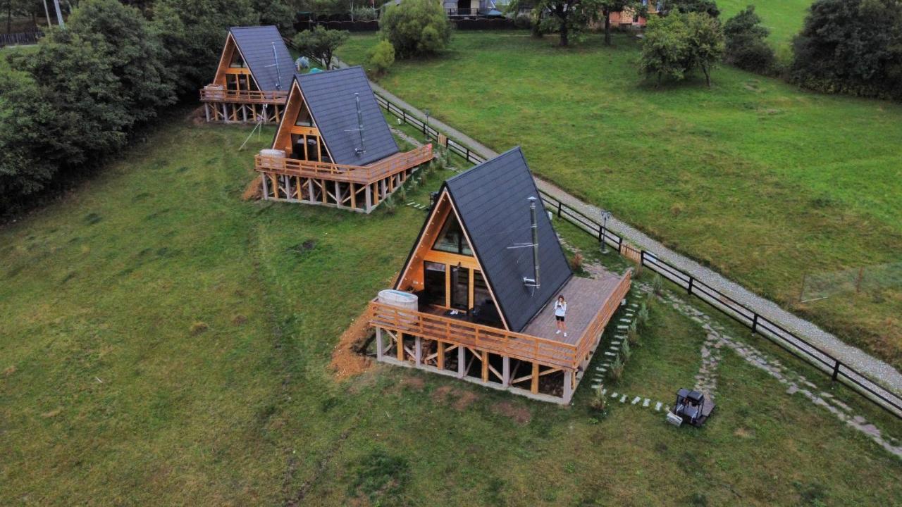 Cabana 365 Braşov Eksteriør billede