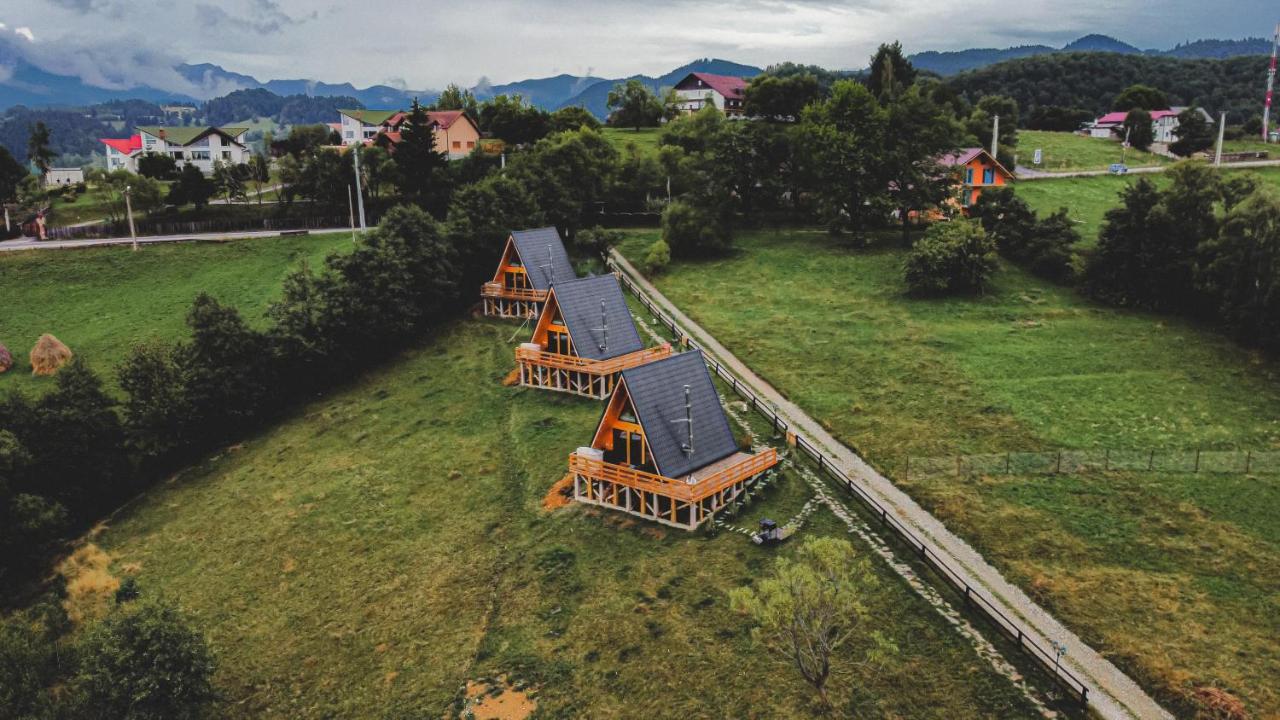 Cabana 365 Braşov Eksteriør billede