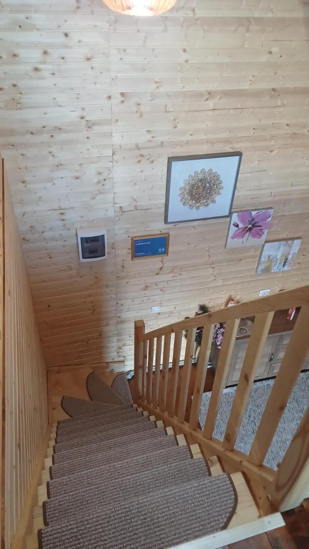 Cabana 365 Braşov Eksteriør billede