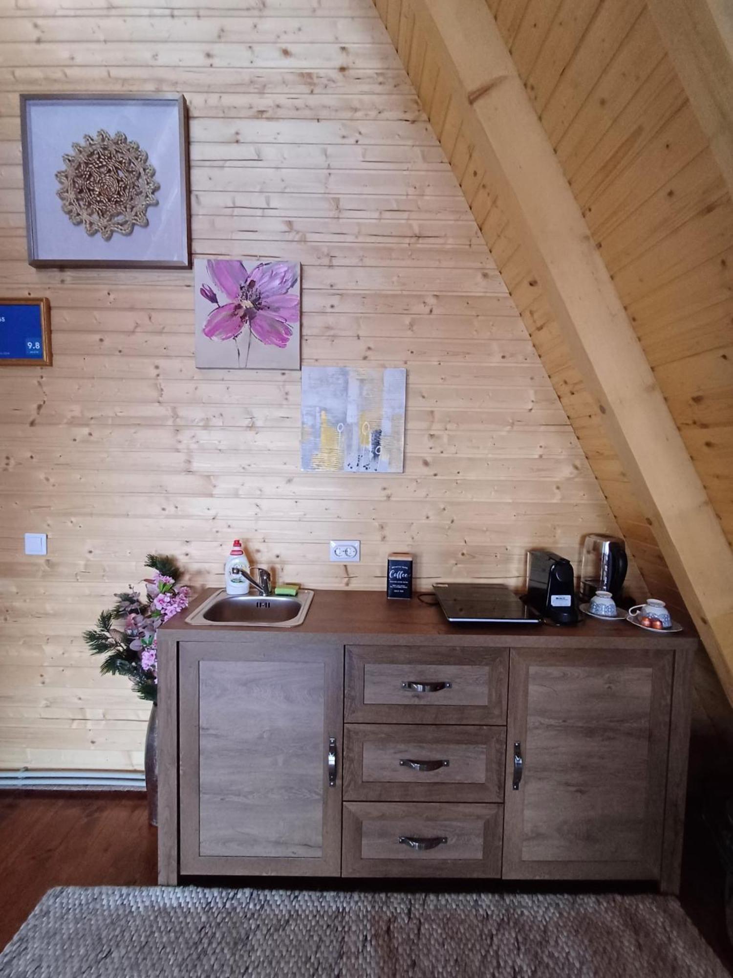 Cabana 365 Braşov Eksteriør billede